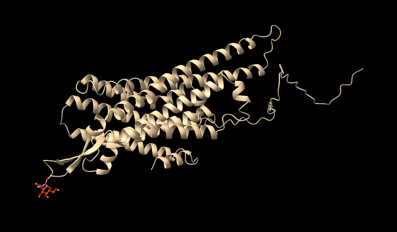 image0